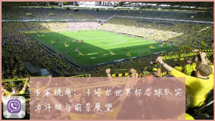 专家视角:卡塔尔世界杯各球队实力评级与前景展望