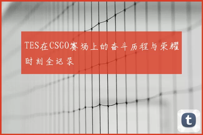 TES在CSGO赛场上的奋斗历程与荣耀时刻全记录