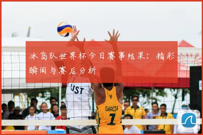冰岛队世界杯今日赛事结果：精彩瞬间与赛后分析