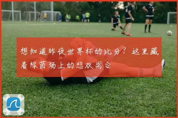 想知道昨夜世界杯的比分?这里藏着绿茵场上的悲欢离合