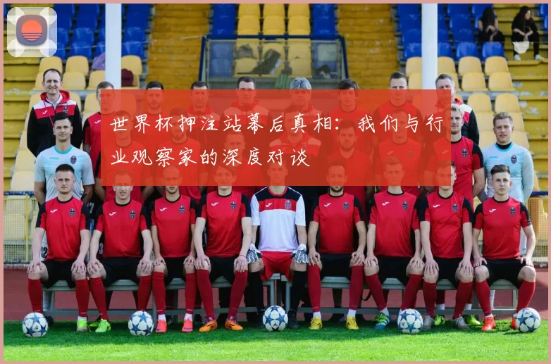 世界杯押注站幕后真相：我们与行业观察家的深度对谈