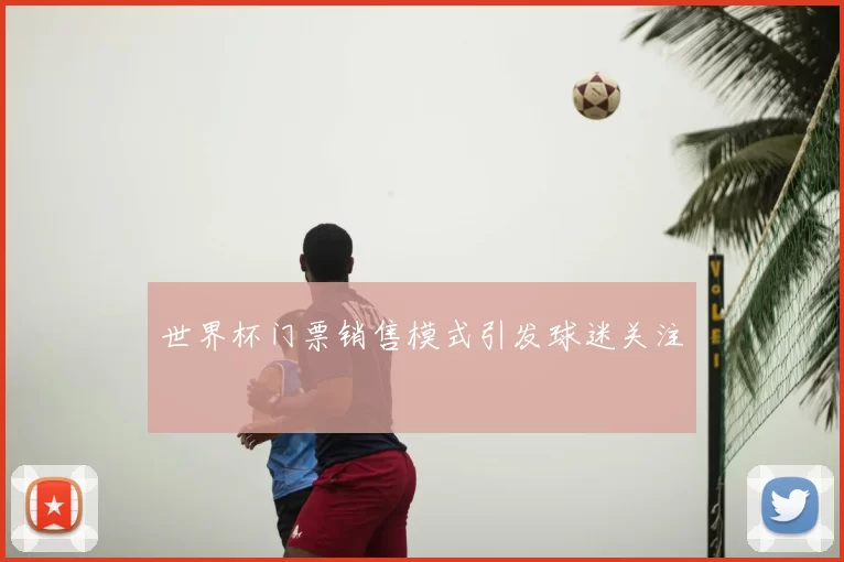 世界杯门票销售模式引发球迷关注