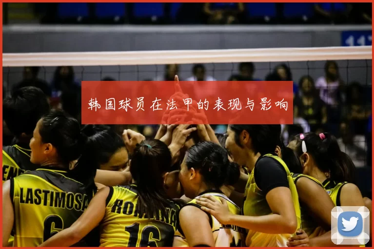 韩国球员在法甲的表现与影响