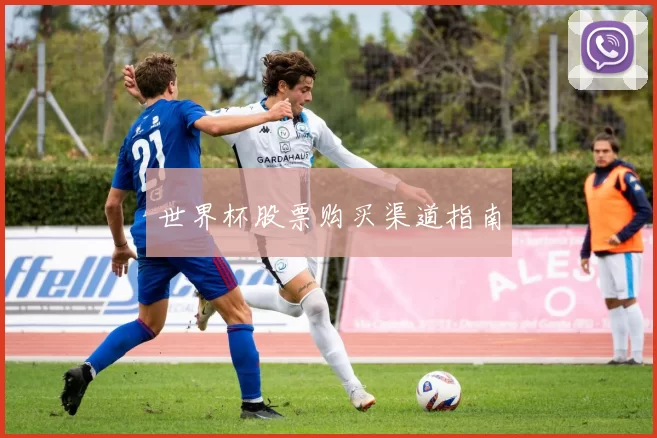 世界杯股票购买渠道指南
