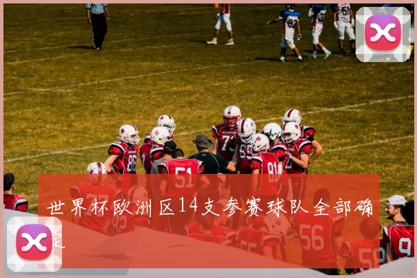 世界杯欧洲区14支参赛球队全部确定