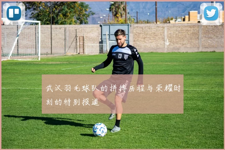 武汉羽毛球队的拼搏历程与荣耀时刻的特别报道