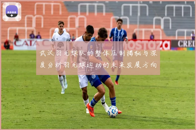 武汉羽毛球队的整体压制揭秘与深度分析羽毛球运动的未来发展方向