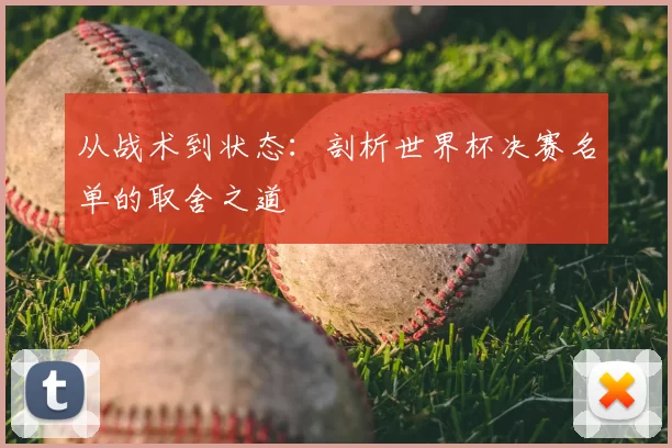 从战术到状态:剖析世界杯决赛名单的取舍之道