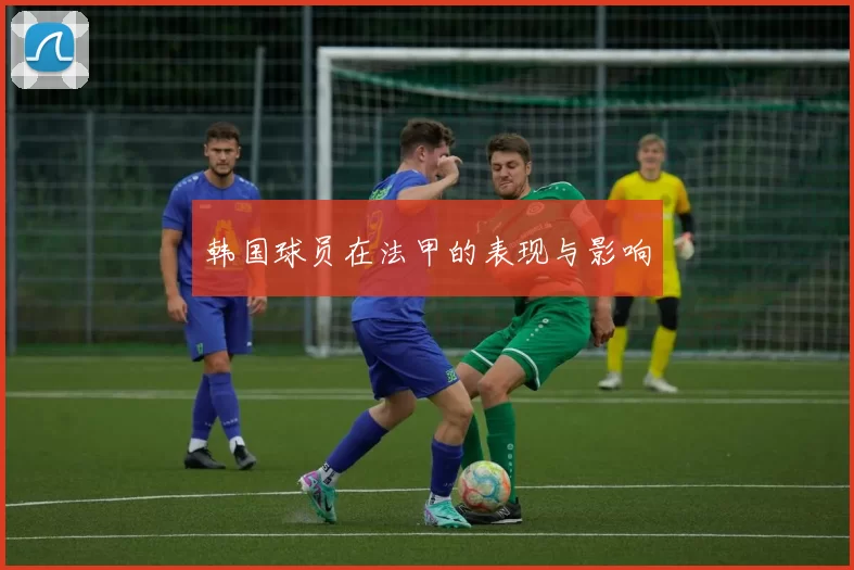 韩国球员在法甲的表现与影响
