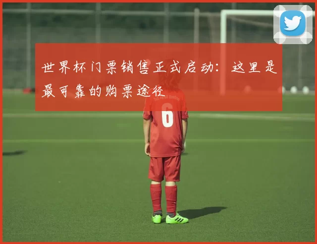 世界杯门票销售正式启动：这里是最可靠的购票途径