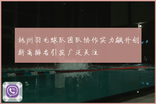 杭州羽毛球队团队协作实力飙升创新高排名引发广泛关注